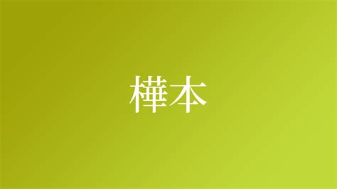 樺名字|「樺」という名字（苗字）の読み方は？レア度や由来。